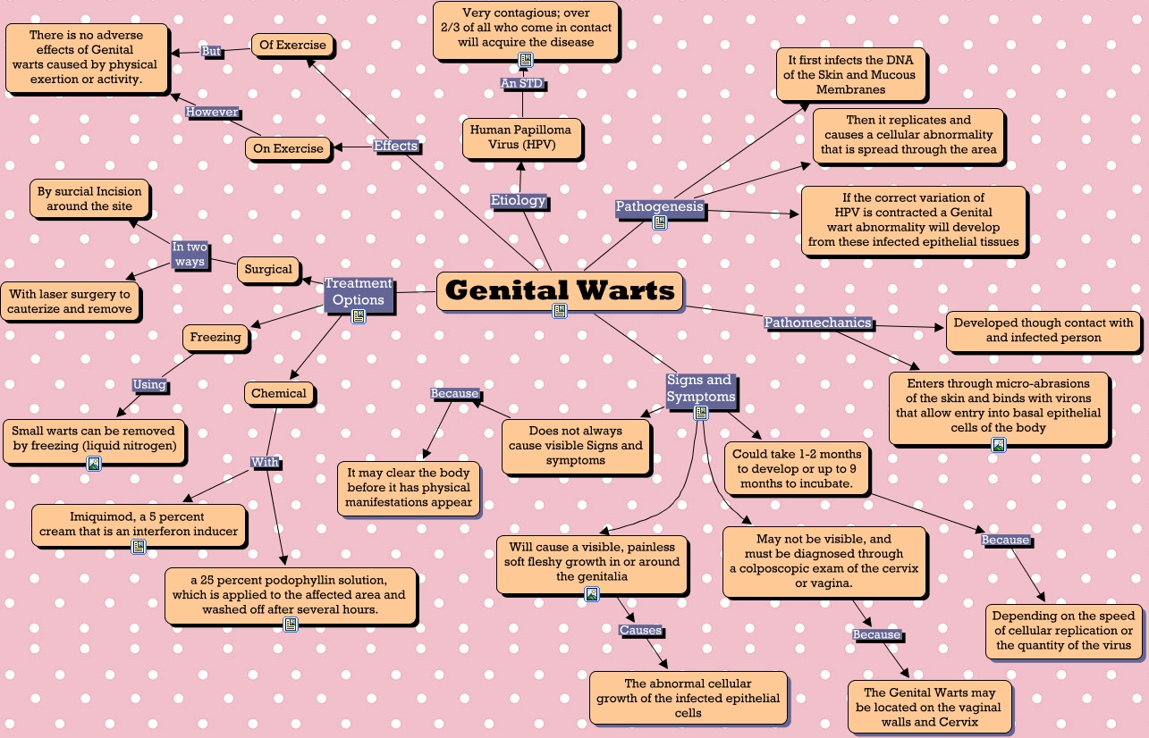 genital-warts-a-conceptual-guide-to-genital-warts-in-athletics